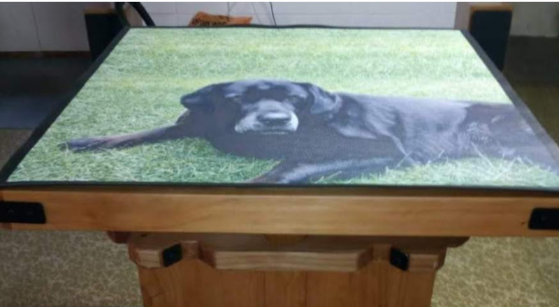 This dog is printed on a Media Mat