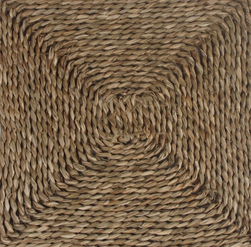 Seagrass - Image 10